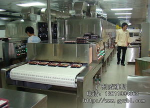 微波快餐加热杀菌设备 高效灭菌的现代食品加工利器