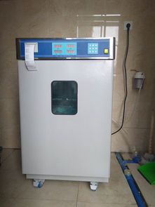 气体灭菌设备 高效灭菌的现代化解决方案